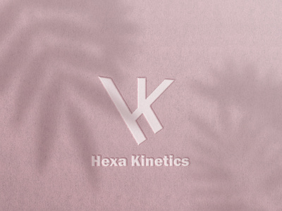 Hexa Kinetics Logo | Brand Identity | Logo Design branddeplovment branddesign brandidentity branding graphic design logo logodesign visualidentity