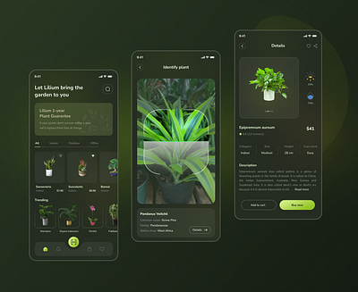 Lilium-Plant App Design app concept design figma mobile plant plantshop ui