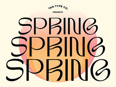 TAN-SPRING display type groove groovy font mid century mid century font modern modern font modern sans serif modern sans serif font retro retro font retro typeface vintage vintage font