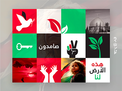 Palestine_Flag colors @illustration black brand colors design flag graphic design green palestine red ui