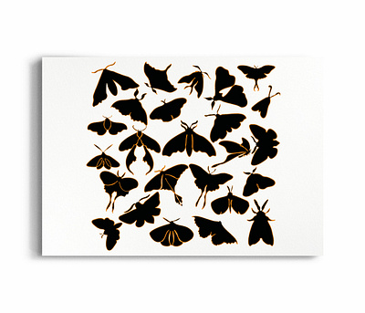 Black Moth Line Art aesthetic black butterfly cute design goth gothic horror insect lineart lunamoth moth pattern witchy