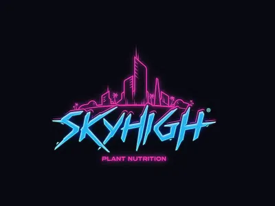 Logo Design - SKYHIGH Logo 3d animation app branding design graphic design illustration logo logo design motion graphics ui web web design website website design