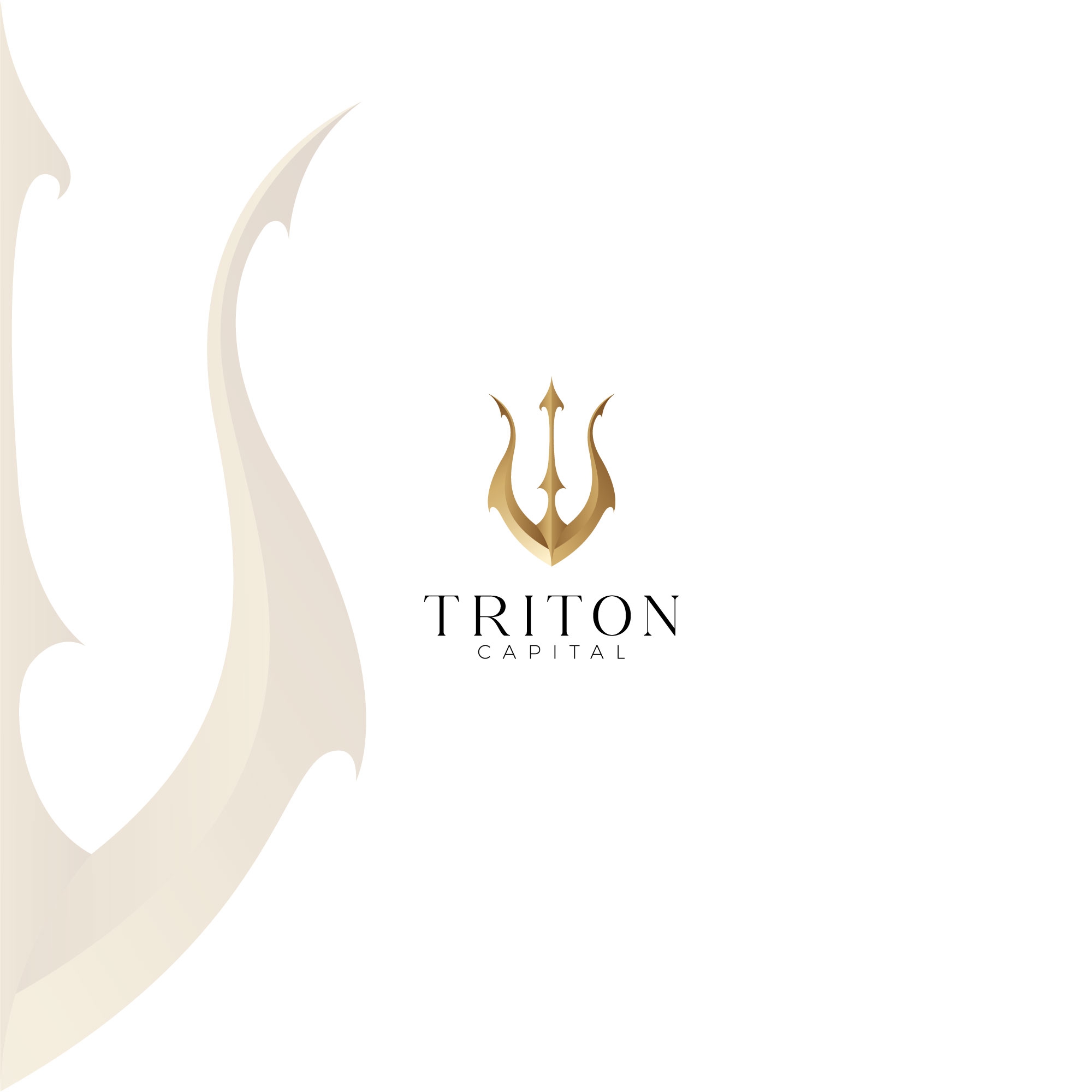 Triton Logo adobe branding design designer graphic design illustration illustrator logo photoshop