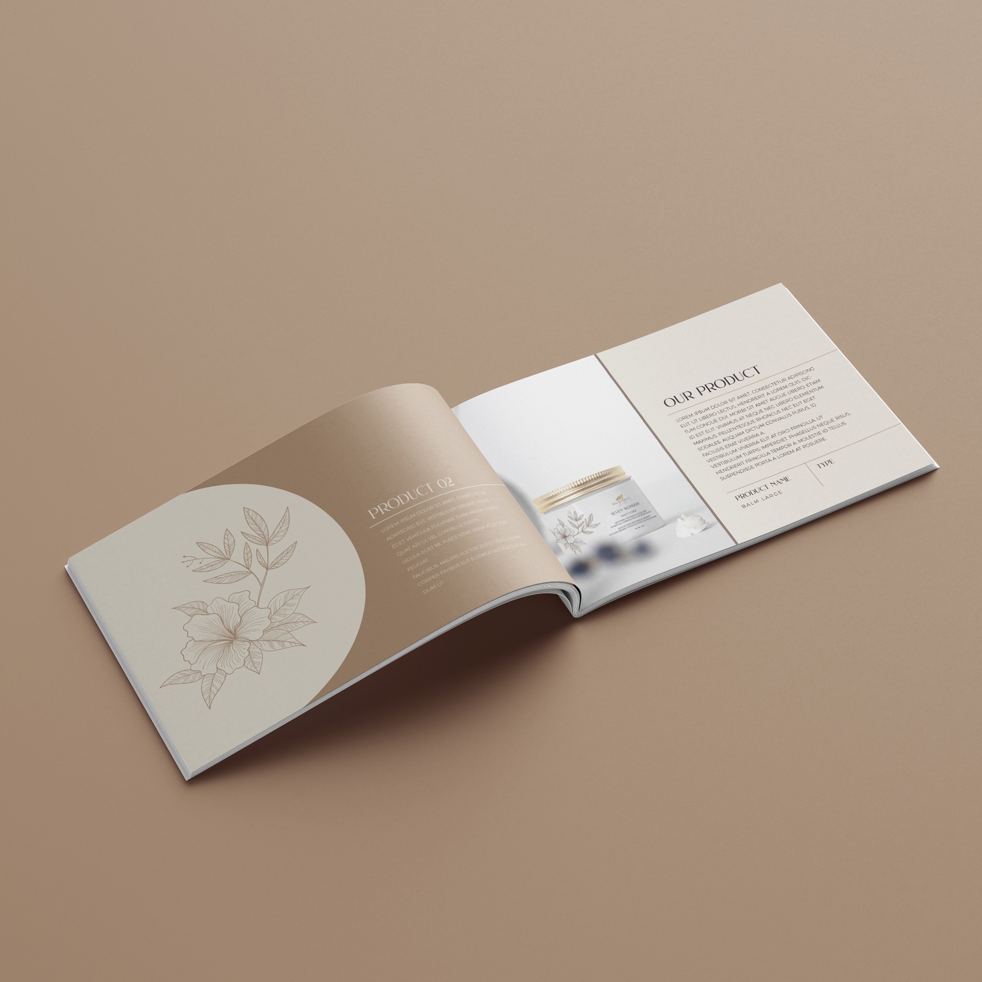 White Turtle Brochure adobe branding design designer graphic design illustration illustrator logo photoshop