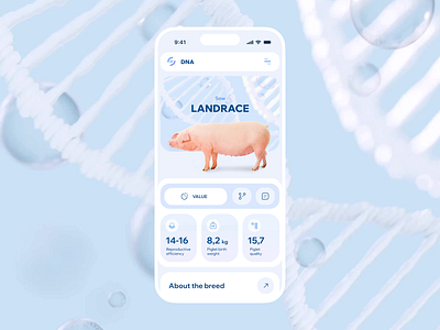 DNA - Breed Description Animation animation app b2b blue business clean data design dna genetic interaction ios mobile molecule motion pig product ui ux white