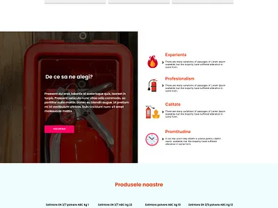 Stingatoare-web-design graphic design