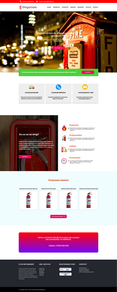 Stingatoare-web-design graphic design