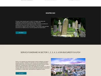 Floray web-design graphic design