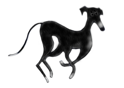 KIMA black design dog greyhound illustration pets