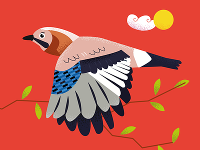 Illustration of a jay bird branding color design graphic design illustration inspire ivano frankivsk ukraine