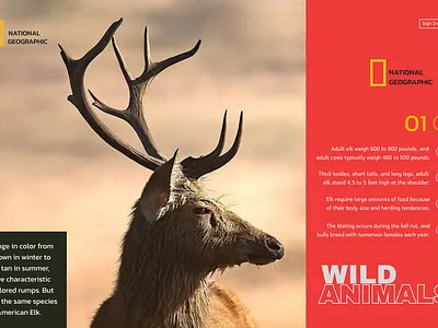 UI design for National Geographic Explorer's Hub: Into a World. 3d app branding design graphic design illustration logo motion graphics typography ui ux vector