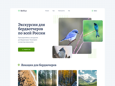 BirdTour Website Design Main Screen design interface site ui ui ux ux