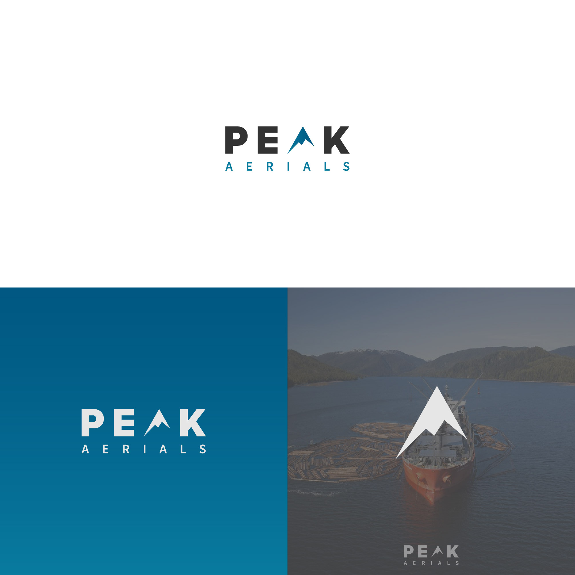 PEAK LOGO DESIGN app design branding bussines company logo concept design developer graphic design home page illustration island landing page logo logo company logo idea logo maker montain peak sea