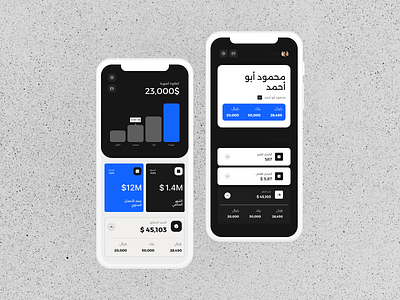 لوحة البيانات المالية العربية arabic website landing page ui website ui