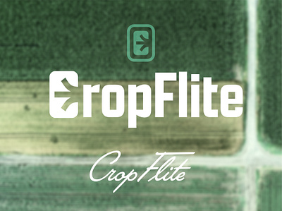 Crop Flite Drone Fertilization branding graphic design logo rebrand