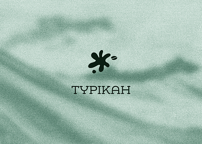 Typikah coffee logo branding coffee coffee roster design graphic noise logo peru roster