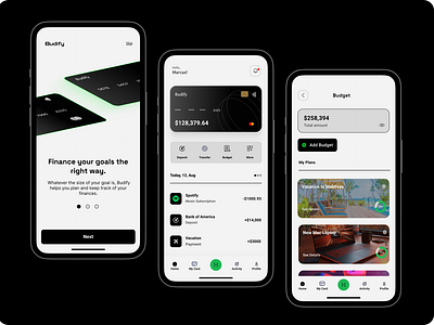 Budify: Money Budgeting App app design budgetingapp finance app money managemeny ui ux