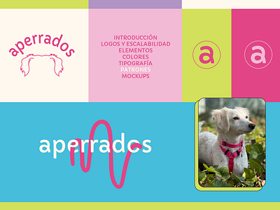 Aperrados - Branding Starter brand brand identity branding design diseño gráfico dog logo dog lover doggy furbabies furbaby graphic design identidad de marca identidad visual illustration logo marca mascota pet shop puppy visual identity