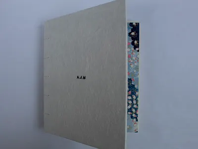 COPTIC STITCH UTILIZING LOCAL ART STORE PAPERS bookbinding