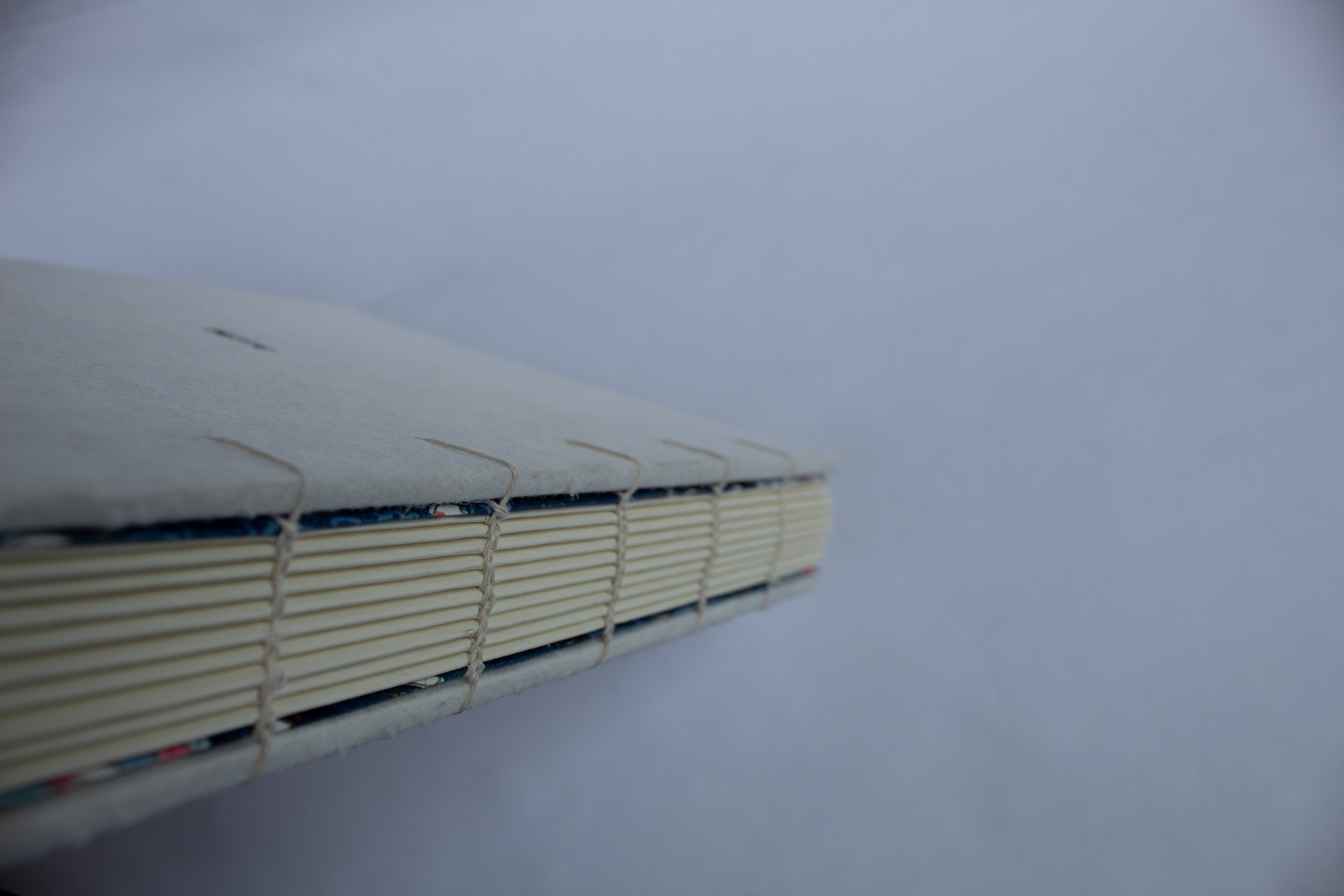 Example of Large Coptic Stitch Book