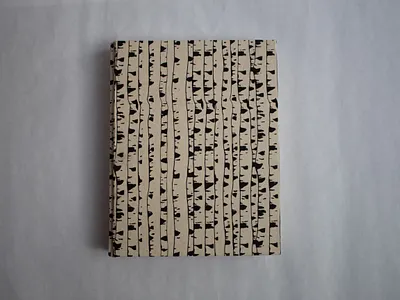 CASEBOUND UTILIZING LOCAL ART STORE PAPERS bookbinding