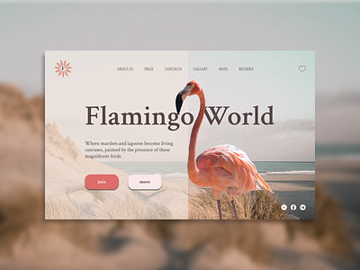 Welcome to flamingo world🦩 concept design figma travel ui ux uxui uxuidesign website