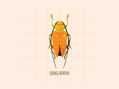 Beetle collection - 4 I Long horns adobe beetle children book editorial flat graphic design illustration insect long horns nature photoshop texture wildlife