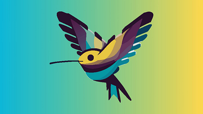 Birds animated illustrations animation branding graphic design logo motion graphics ui