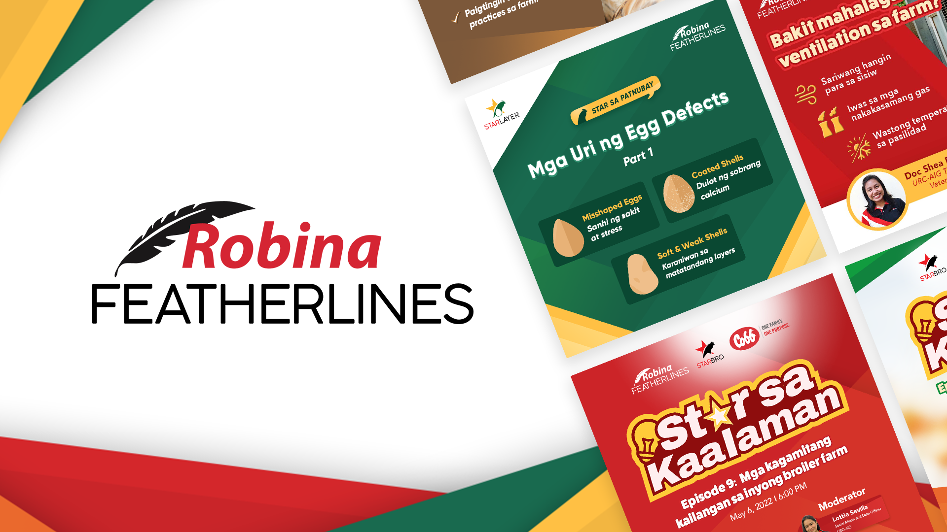 Robina Featherlines - Social Media advertising agriculture community management digital marketing marketing social media social media post