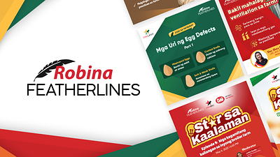 Robina Featherlines - Social Media advertising agriculture community management digital marketing marketing social media social media post