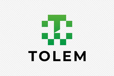 Tolem branding design flat logo minimal vector