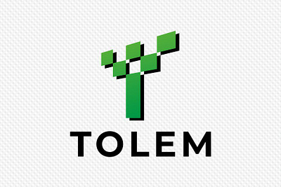 Tolem branding design flat logo minimal vector