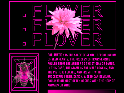 Poster adobe illustrator flover graphic design ill illustration poster vector