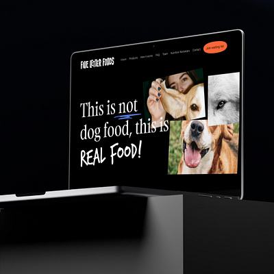 Real Food for Dogs brand branding dog dog food ui webdesign
