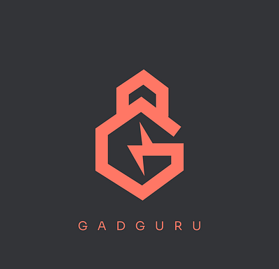GADGURU branding design graphic design identidade visual identity illustration logo ui vector visual identity