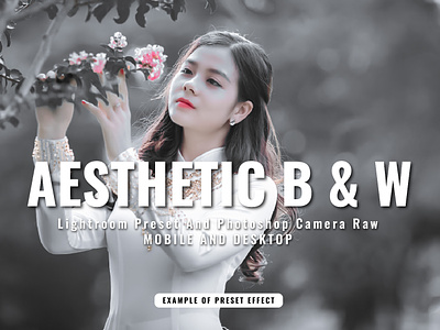 AESTHETIC BLACK AND WHITE LIGHTROOM PRESETS 15 lightroom presets adjustment aesthetic presets black and white camera raw cinematic dng jpg lightroom photography presets photoshop postproduction premium presets professional add ons xmp