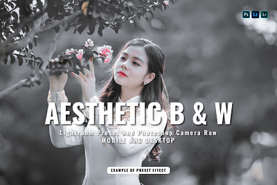 AESTHETIC BLACK AND WHITE LIGHTROOM PRESETS 15 lightroom presets adjustment aesthetic presets black and white camera raw cinematic dng jpg lightroom photography presets photoshop postproduction premium presets professional add ons xmp