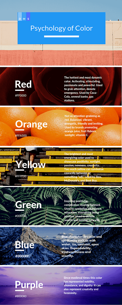 Color Psychology in Web Design graphic design