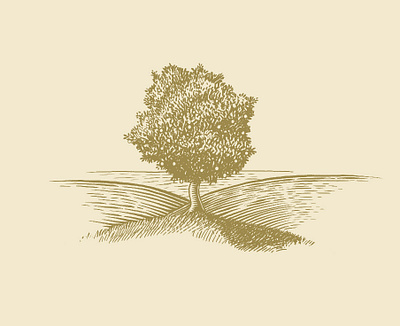 Apple Tree branding digital engraving illustration logo woodcut