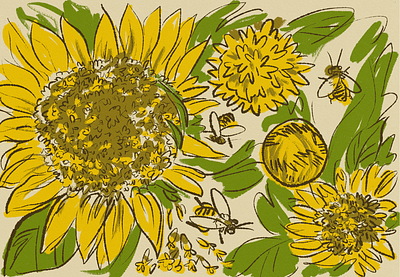 Sunflower Pollen bees botanical botany bumblebees editorial editorial illustration entomology handdrawn illustration lefthanded pollen pollinators research research university science art sunflower sunflowers umass university of massachusetts