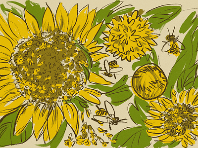 Sunflower Pollen bees botanical botany bumblebees editorial editorial illustration entomology handdrawn illustration lefthanded pollen pollinators research research university science art sunflower sunflowers umass university of massachusetts