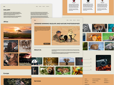 Alex: A photographer's website design landing page photography ui ux