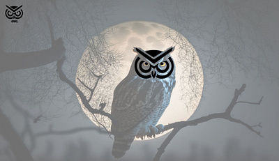 Owl Logo | Logo design | Brand Design brand branding brandlogo graphic design logo logodeisgn owllogo vector