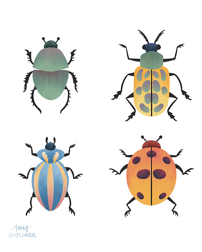 Beetle Friends beetles bugs digital illustration illustration insects