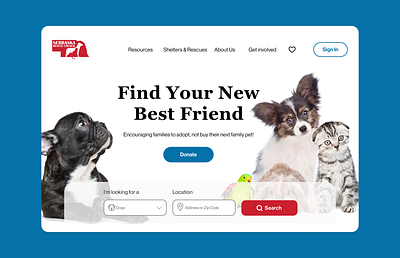 Nebraska Rescue Council animal rescue website website redesign
