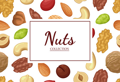 Nuts Collection food frame illustration macadamia nut pecans and macadamias pile seamless pattern vector