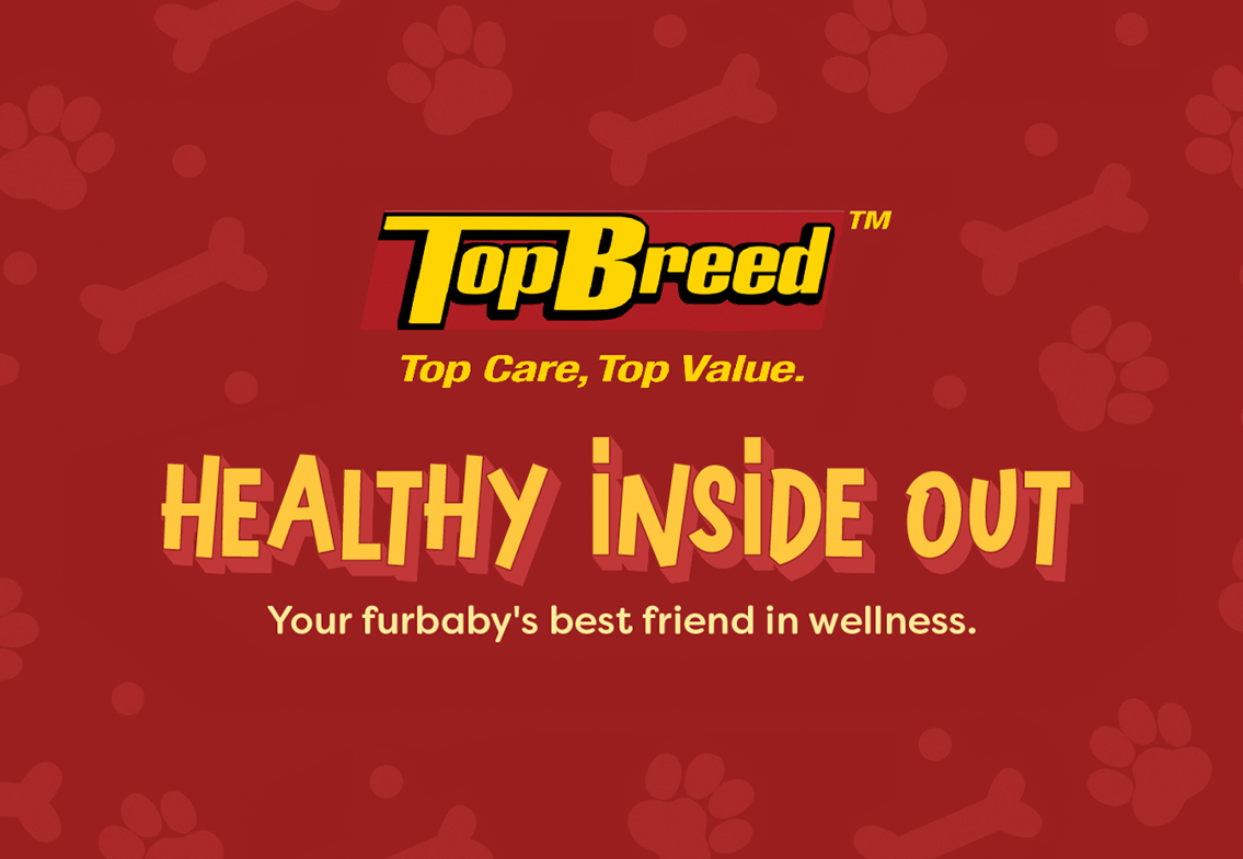 TopBreed Healthy Inside Out - Social Media Campaign advertising campaign digital marketing graphic design influencer marketing social media social media campaign social media post