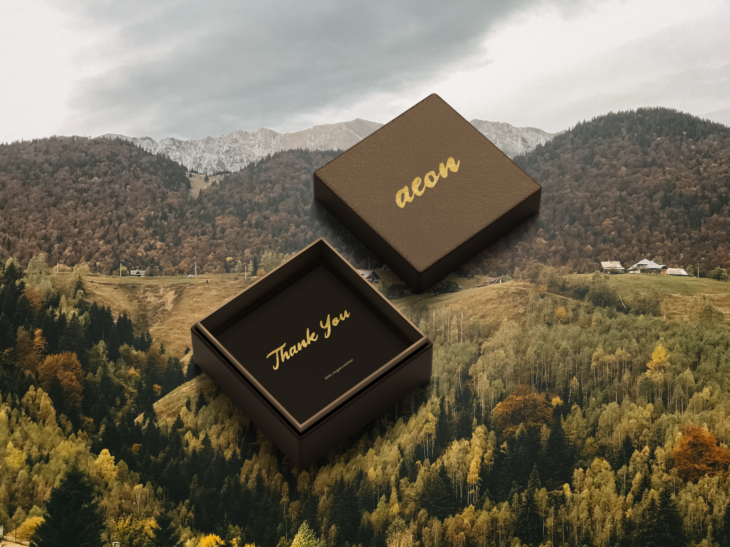 Aeon brand strategy branding design graphic design logo mockup packaging design