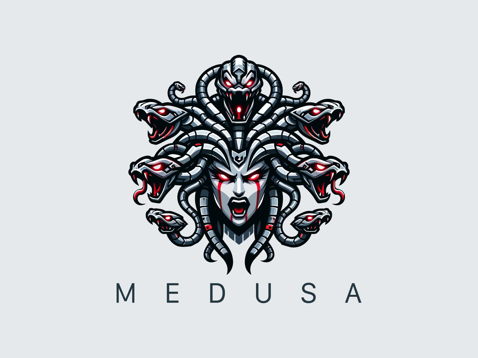 logo meduza