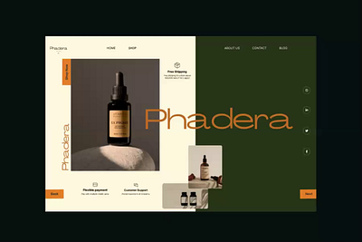 Phadera Skincare products app branddesign branddesigner branding design e commerce mobile product design skincare ui uiux webdesign webshop